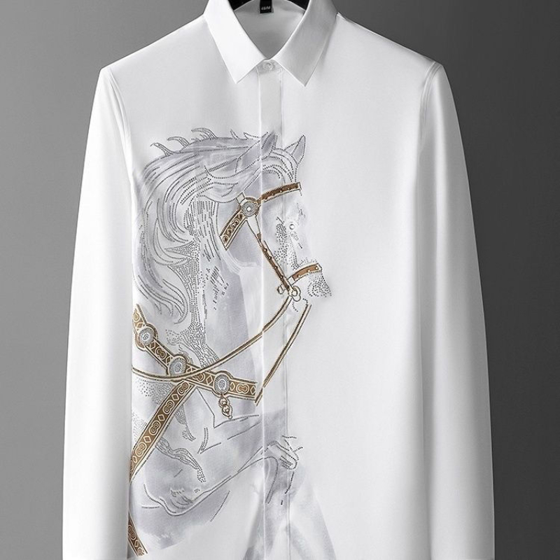 Robe chemises blanches pour ho - Dress Shirt Non-Iron avis et prix